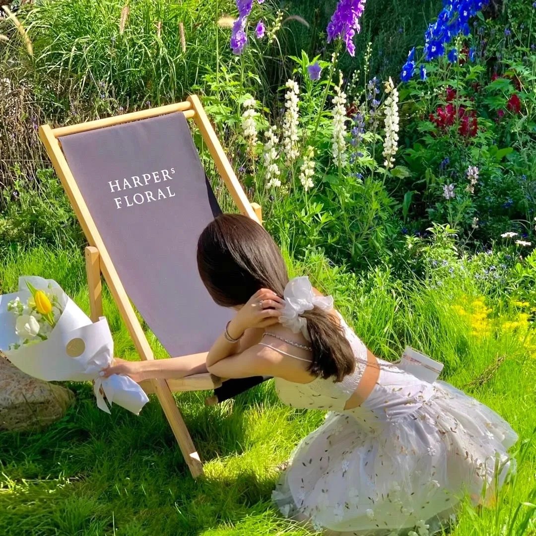 三分天下我为傲视龙尊