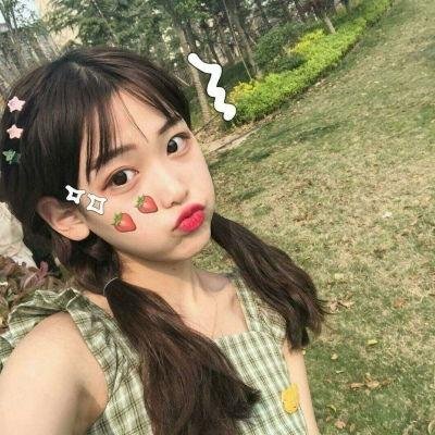 不进花瓶的洋甘菊